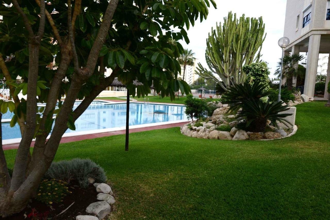 Apartament Apartamento Azalea Playa Alicante Zewnętrze zdjęcie